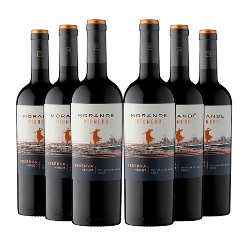 6 vinos Morandé Pionero Reserva Merlot 2021