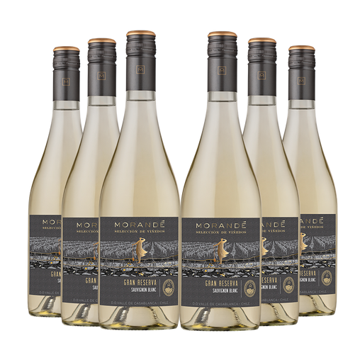 6 vinos Morandé Selección de Viñedos Gran Reserva Sauvignon Blanc 2023