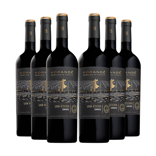 6 vinos Morandé Selección de Viñedos Gran Reserva Carmenere 2021