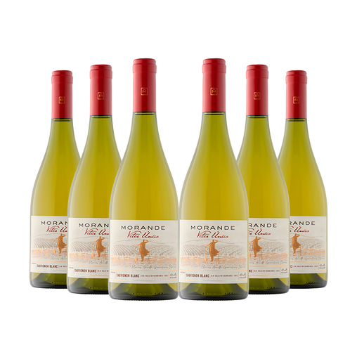 6 vinos Morandé Vitis Única Sauvignon Blanc 2022