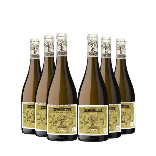 6 Vinos Morandé Terroir Wines Semillón 2021