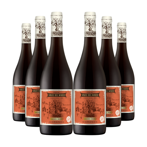 6 vinos Morandé Terroir Wines Carmenere/Malbec 2020