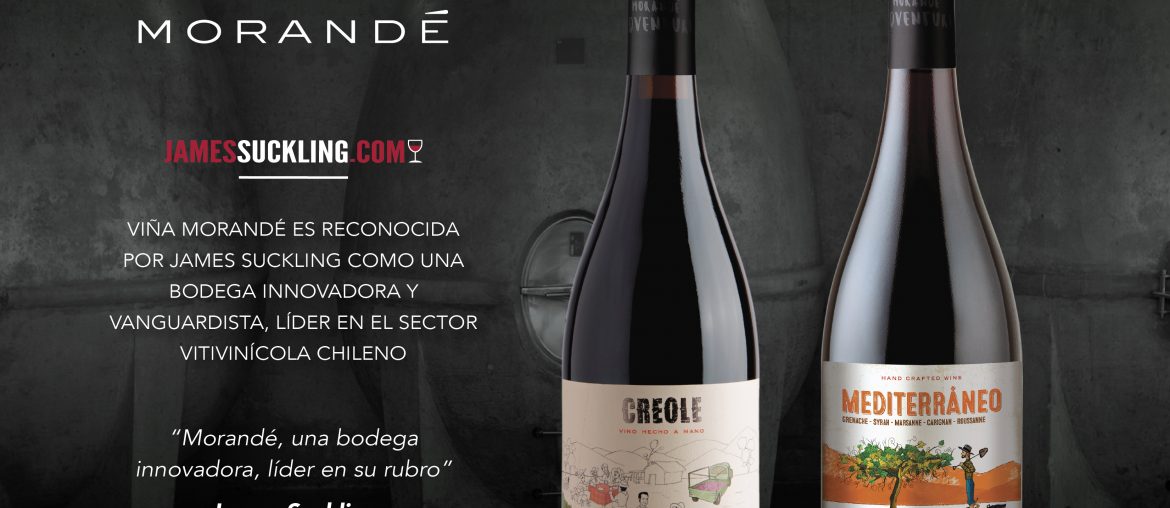 Viña Morandé es reconocida por James Suckling como una bodega innovadora y vanguardista, líder en el sector vitivinícola chileno