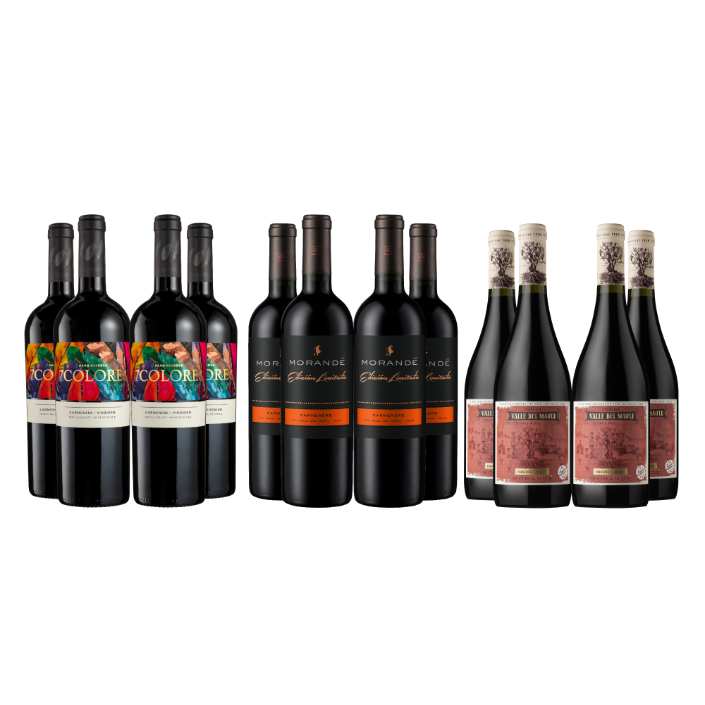 Pack Experiencia Carmenere