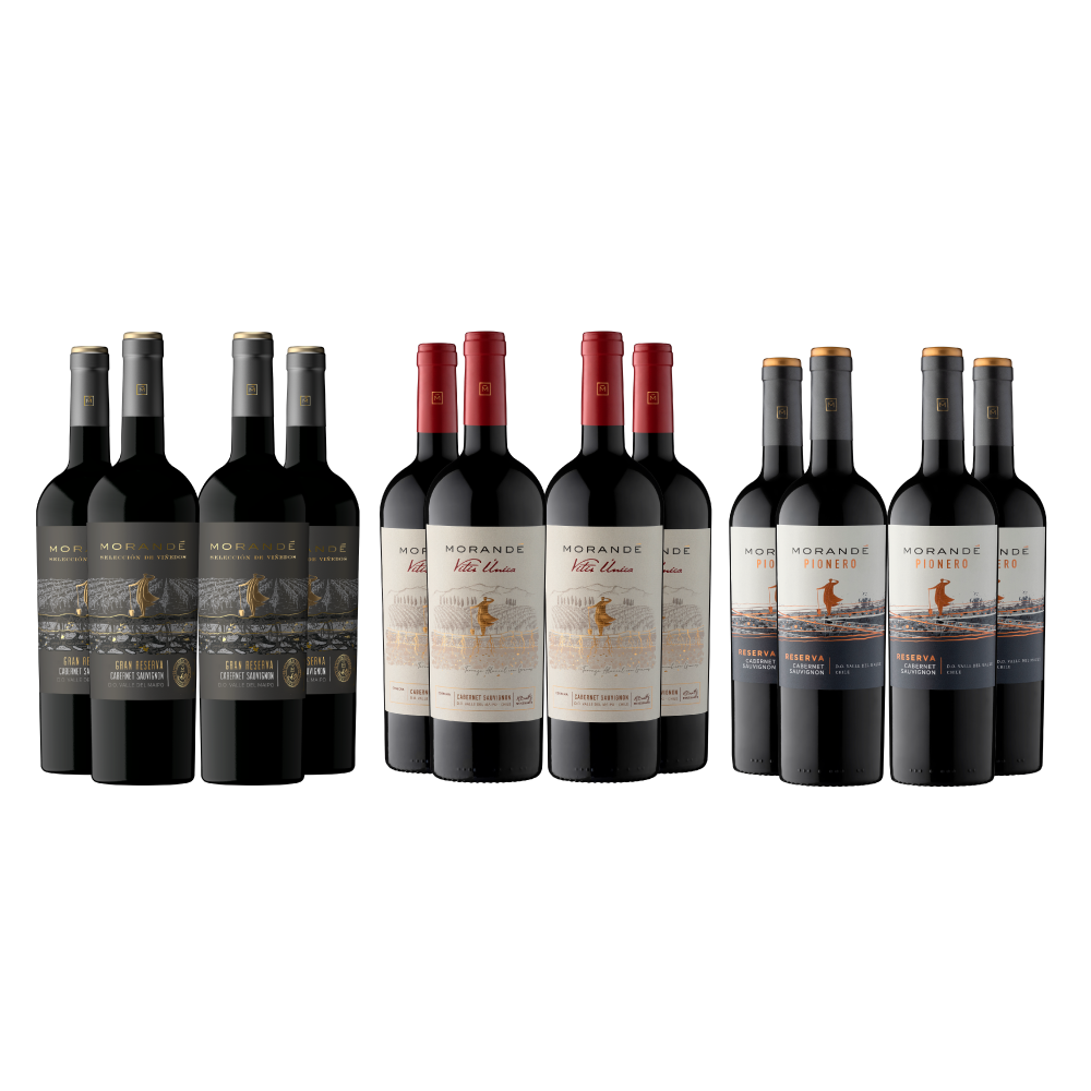 Pack Experiencia Pionero Cabernet Sauvignon