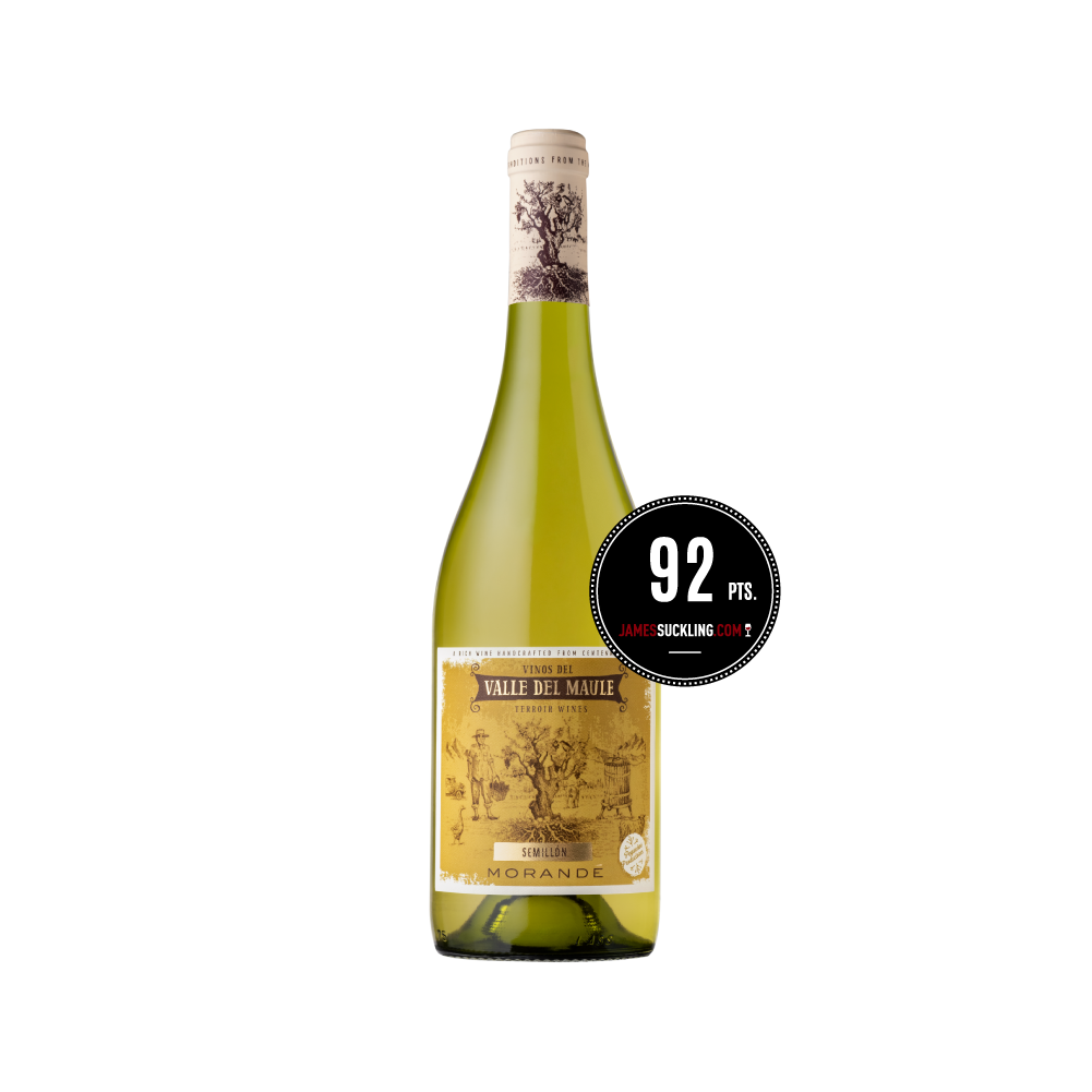 Morandé Terroir Wines Semillón 2025
