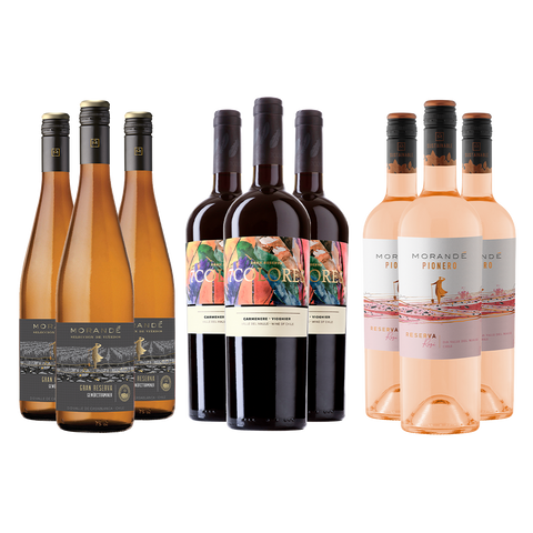 Pack Selección Terraza 2