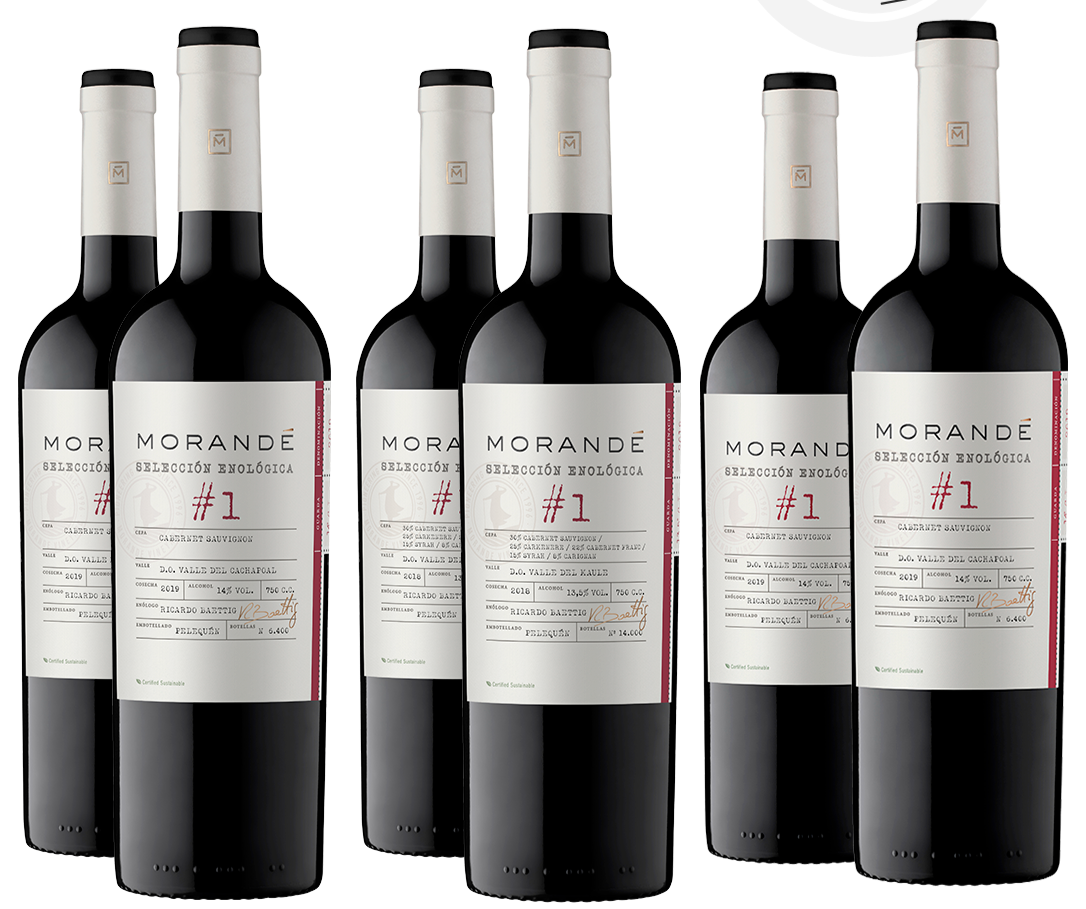 Pack Mix 6 Morandé Selección Enológica – Cava Morandé