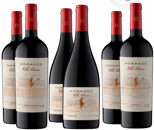 #BlackCAVA Pack Vitis Única