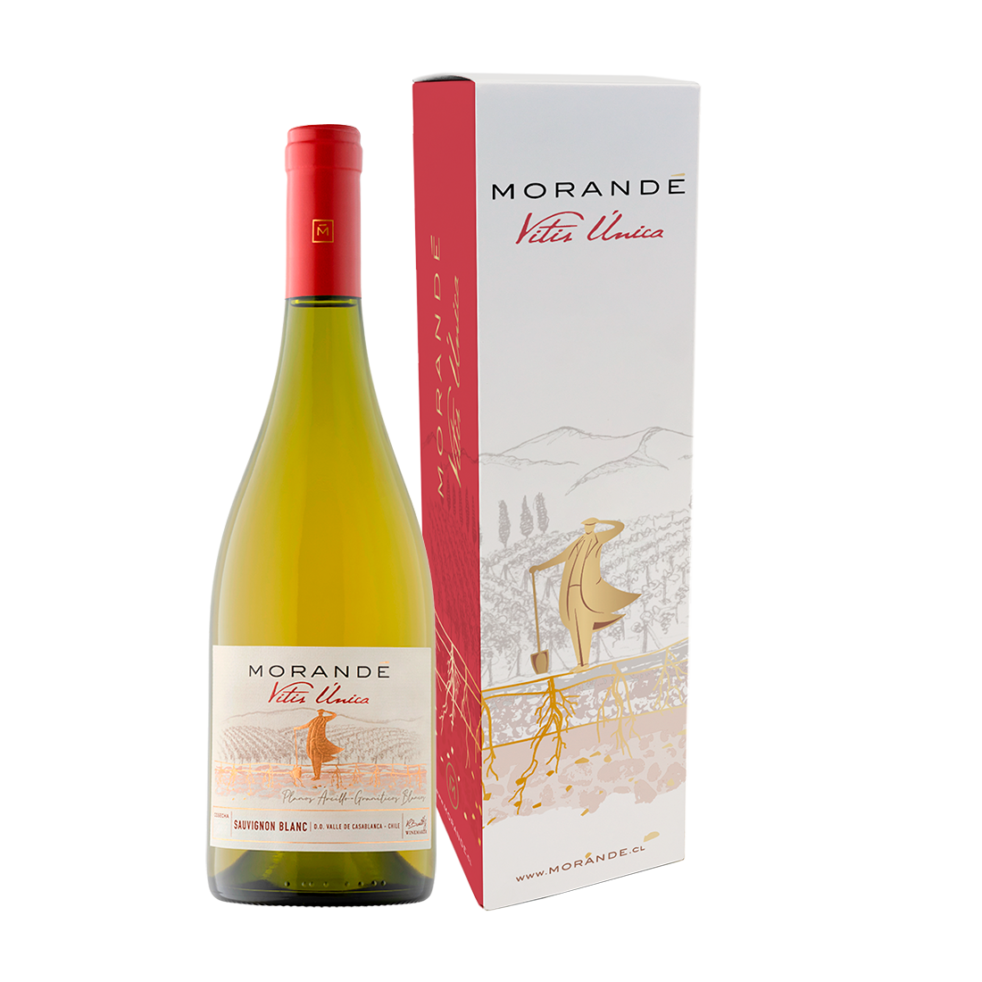 Morandé Vitis Unica Sauvignon Blanc + estuche