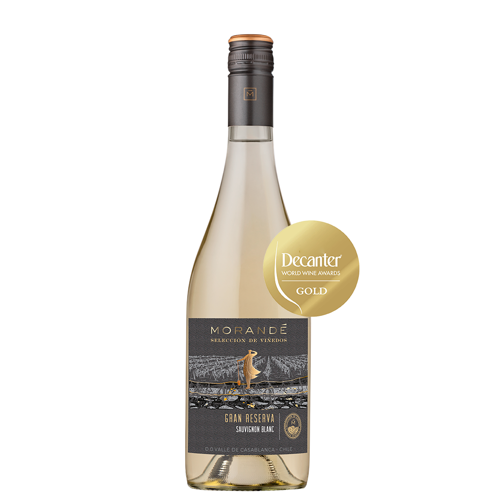 Morandé Selección de Viñedos Gran Reserva Sauvignon Blanc