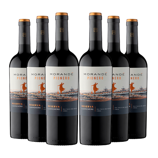 6 vinos Morandé Pionero Reserva Carmenere 2021