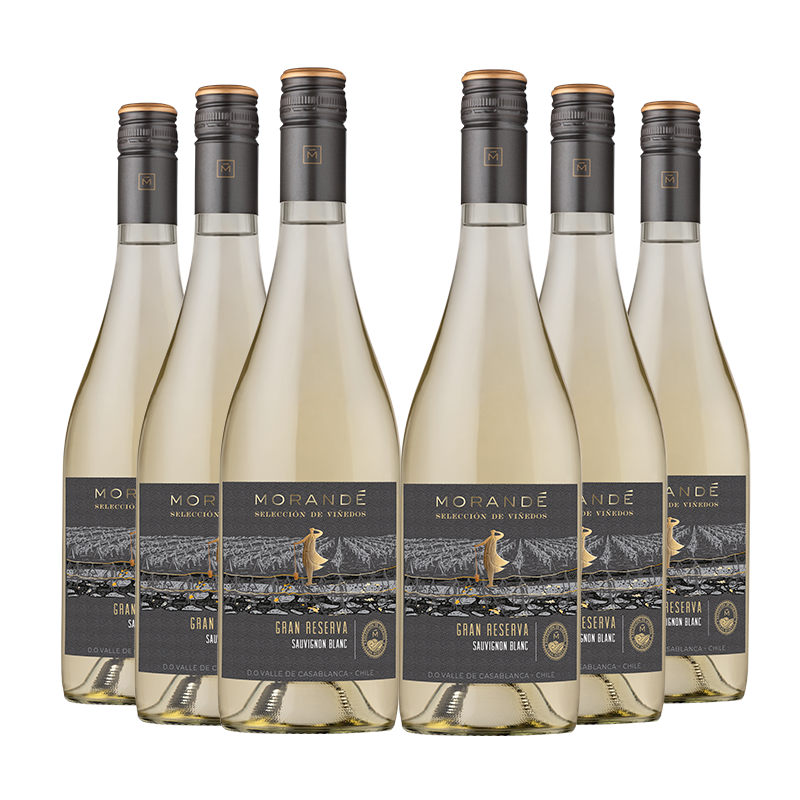Pack 6x Gran Reserva Selección de Viñedos Sauvignon Blanc