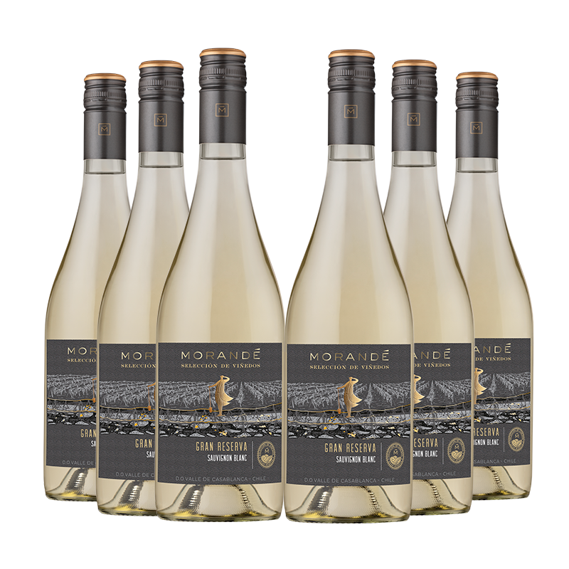 6 vinos Morandé Selección de Viñedos Gran Reserva Sauvignon Blanc 2023