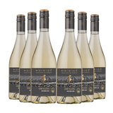 6 vinos Morandé Selección de Viñedos Gran Reserva Sauvignon Blanc 2023