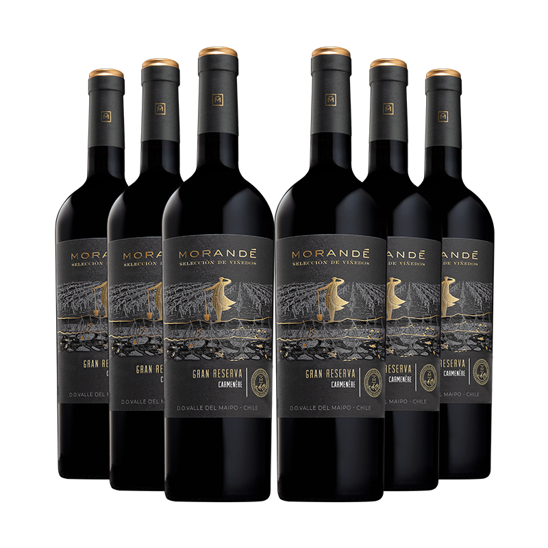 6 vinos Morandé Selección de Viñedos Gran Reserva Carmenere 2021