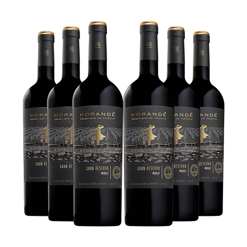 6 vinos Morandé Selección de Viñedos Gran Reserva Merlot 2021