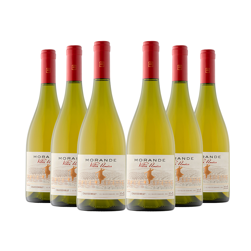 Pack x6 Vitis Unica Chardonnay
