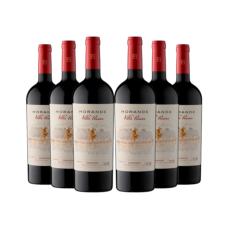 Morandé Tributo a Vitis Única Carmenere