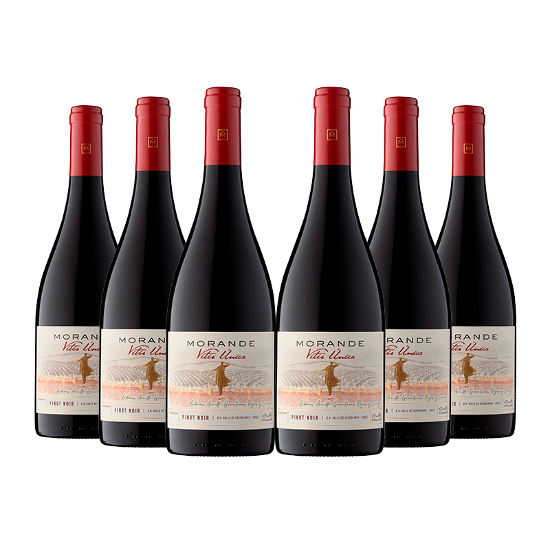 6 vinos Morandé Vitis Única Pinot Noir