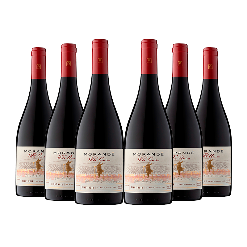 Pack x6 Vitis Unica Pinot Noir