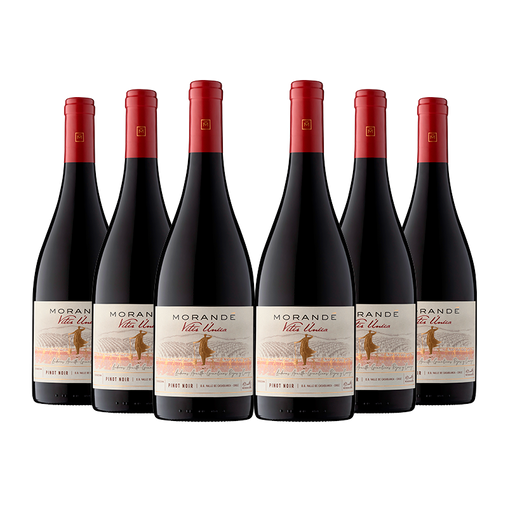 Pack x6 Vitis Unica Pinot Noir