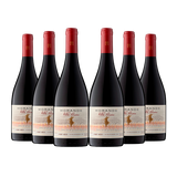 6 vinos Morandé Vitis Única Pinot Noir 2021