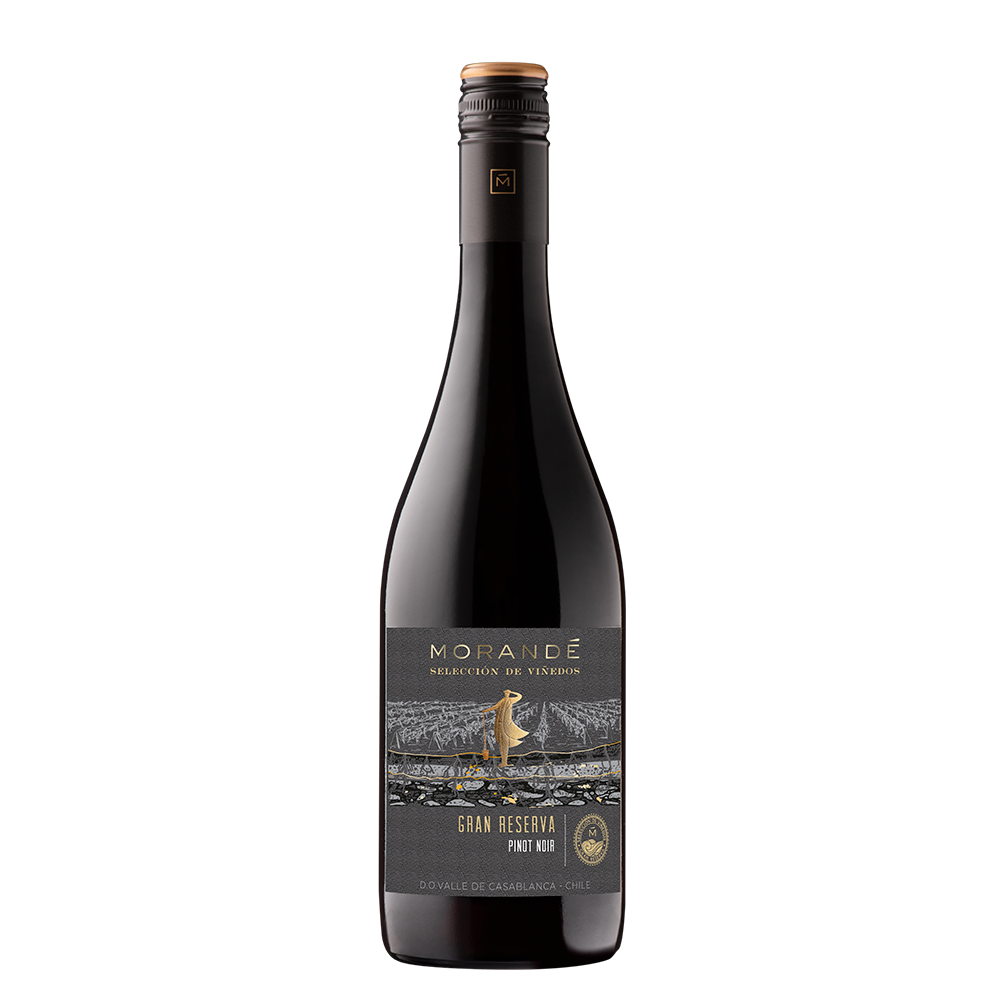 Morandé Selección de Viñedos Gran Reserva Pinot Noir