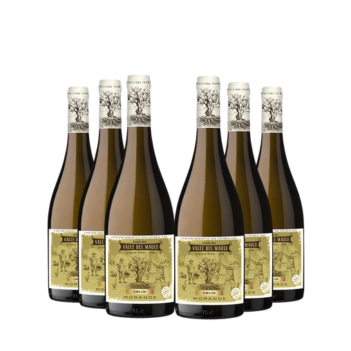 PACK 6x MORANDE TERROIR WINES SEMILLON