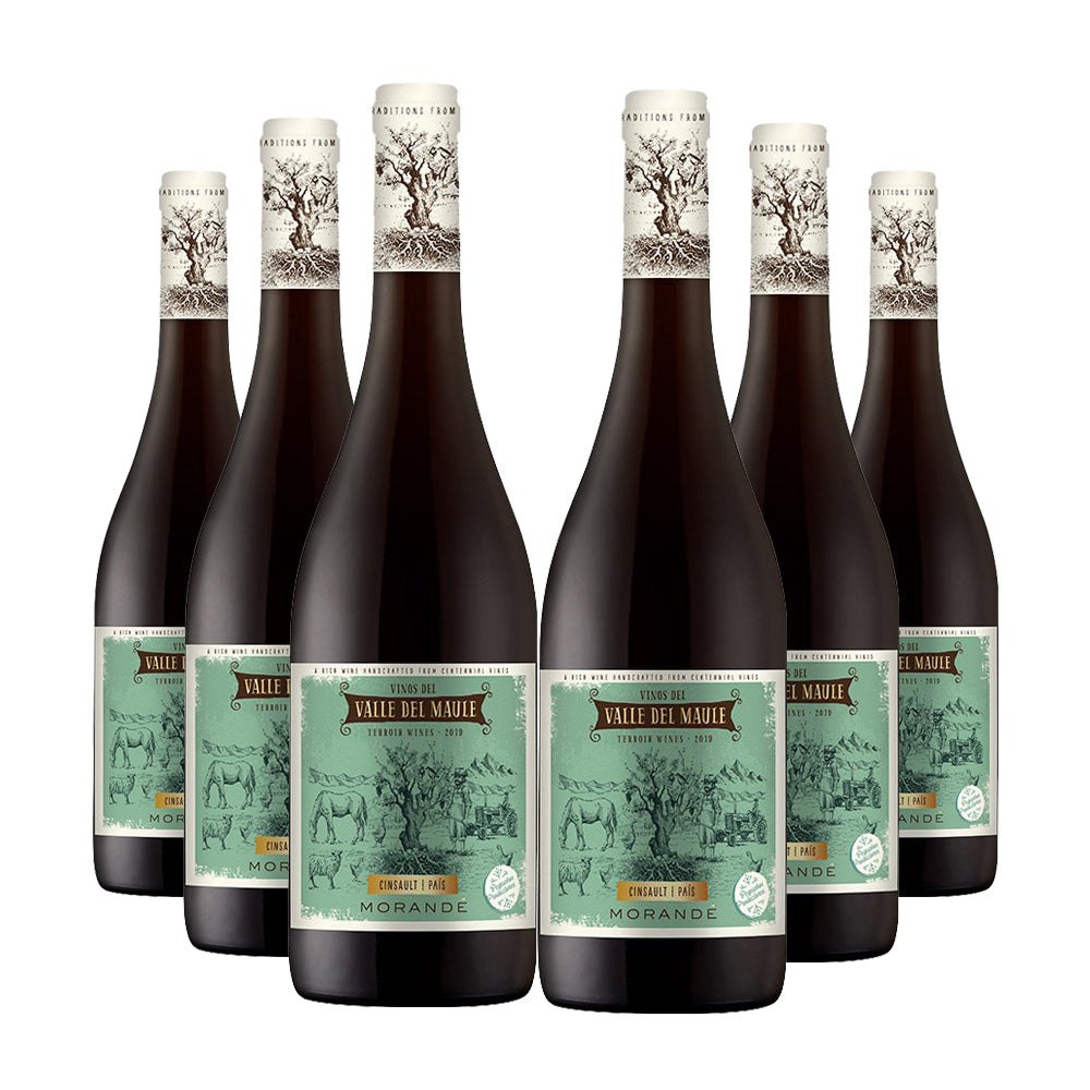 6 vinos Morandé Terroir Wines Cinsault/ País 2025