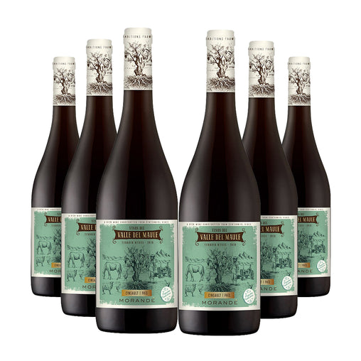 PACK 6x MORANDE TERROIR WINES CINSAULT/PAIS