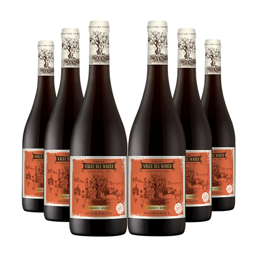 CAJA 6 Morandé Terroir Wines Carmenere/Malbec